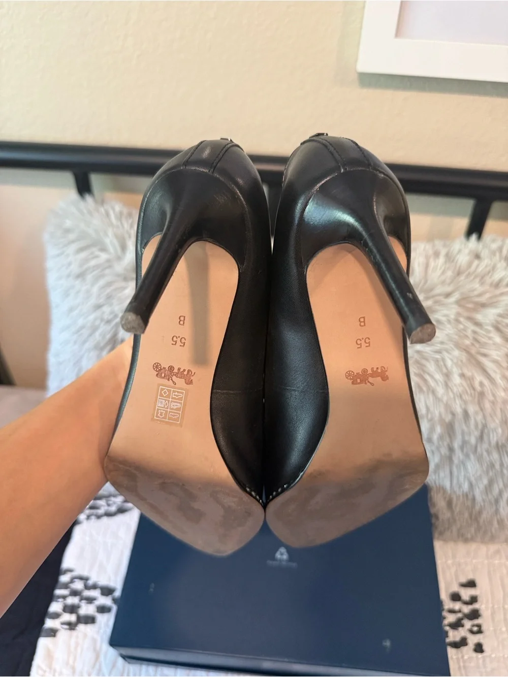 Coach Black Pointed-Toe Leather Pumps